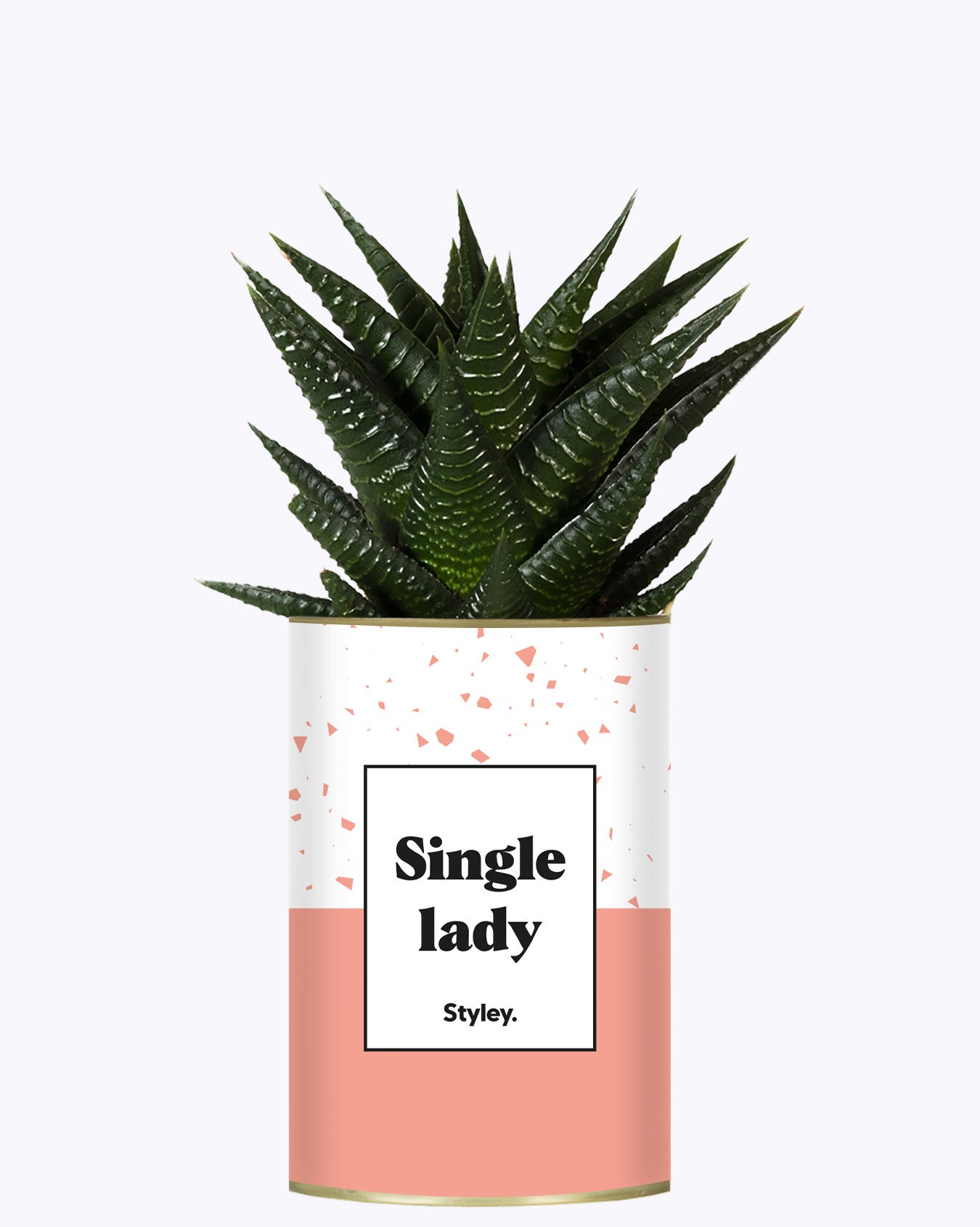 Single Lady - Cactus