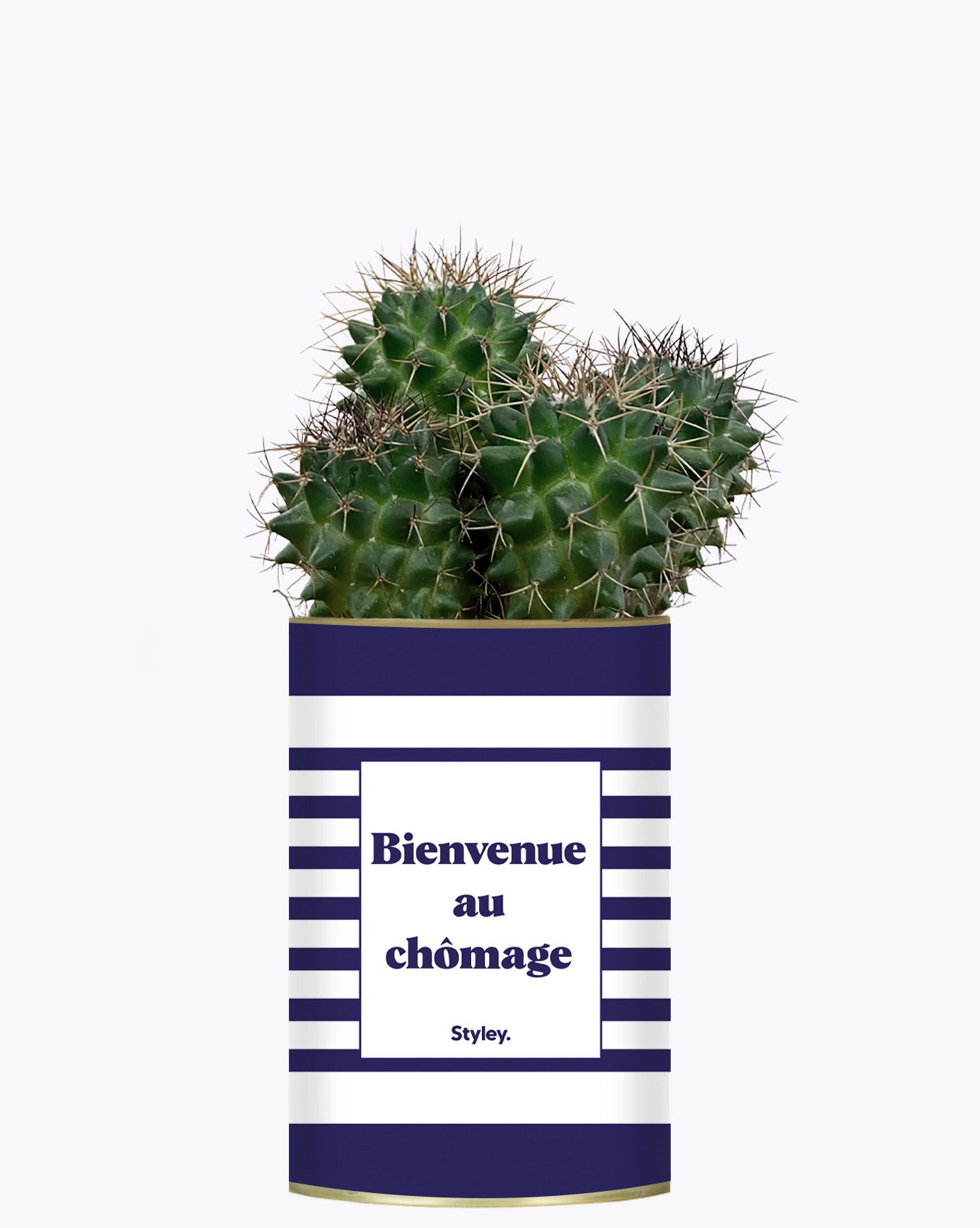 Bienvenue au chômage - Cactus