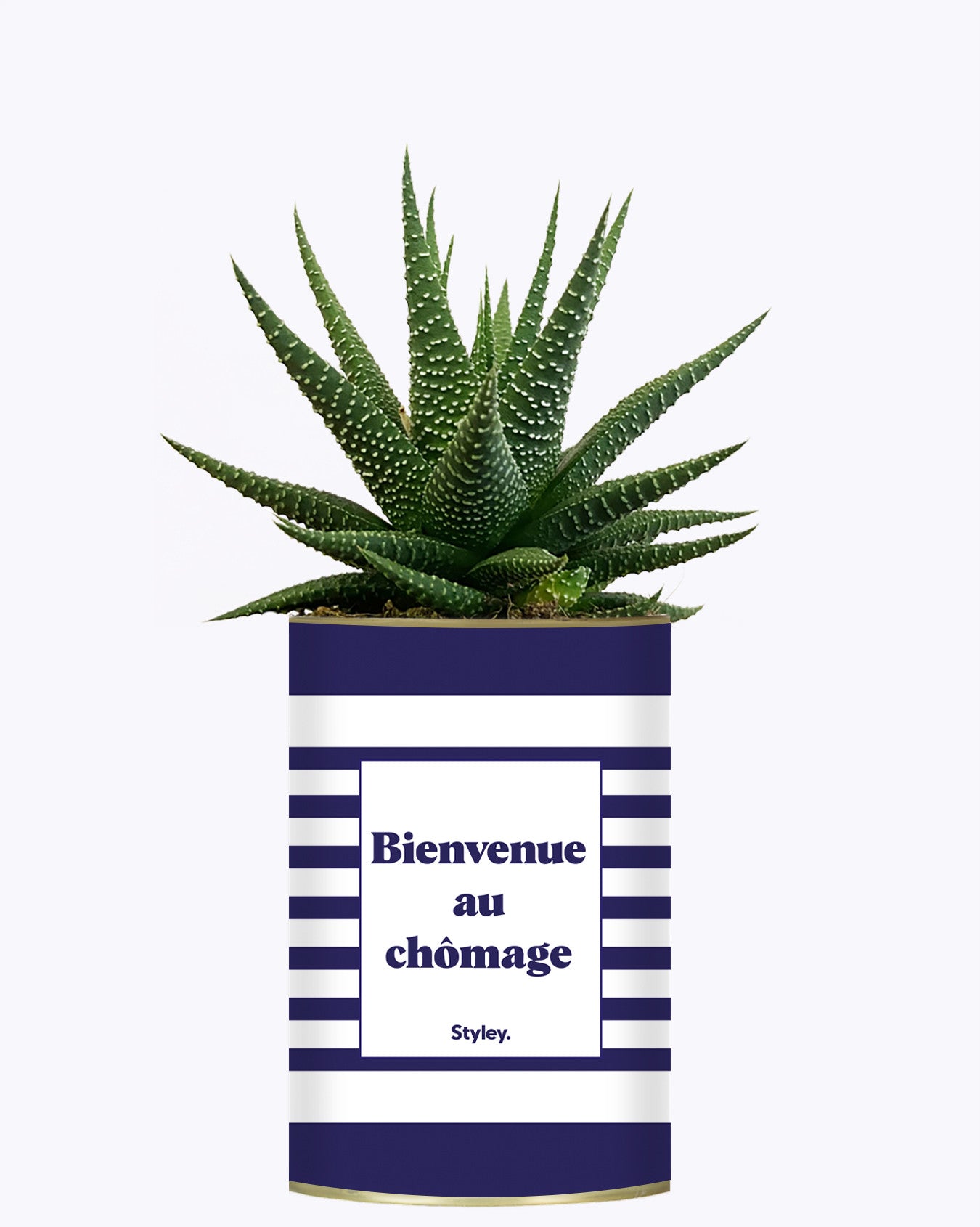 Bienvenue au chômage - Cactus