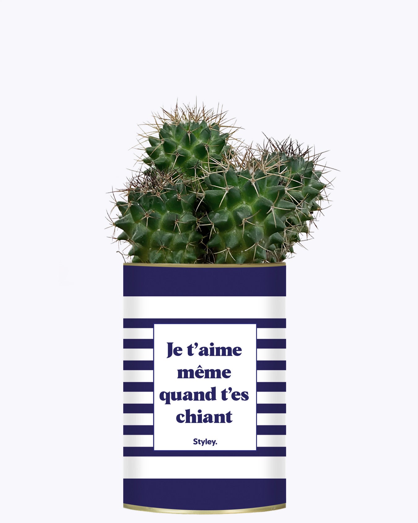 Je t'aime même quand t'es chiant - Cactus