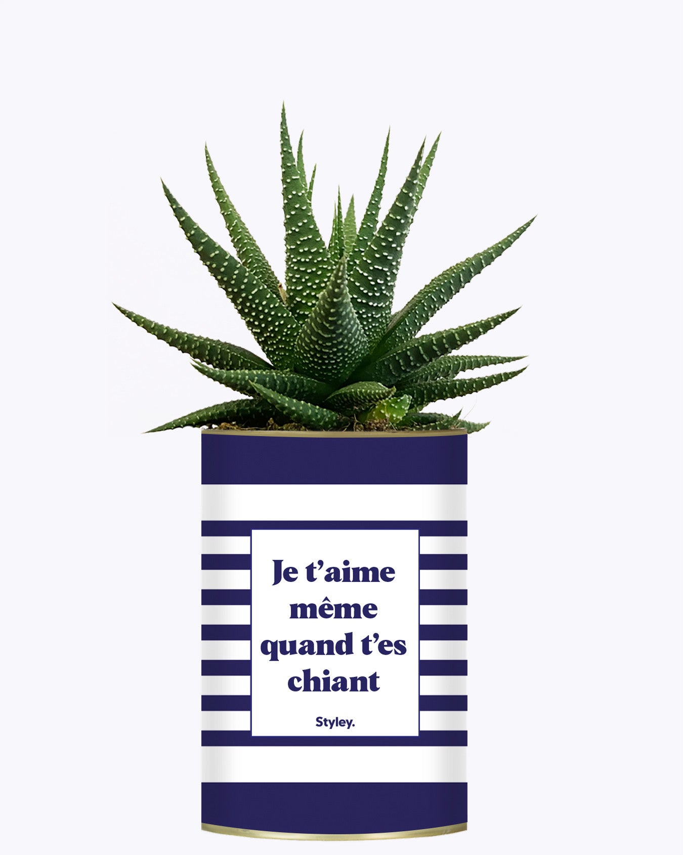 Je t'aime même quand t'es chiant - Cactus