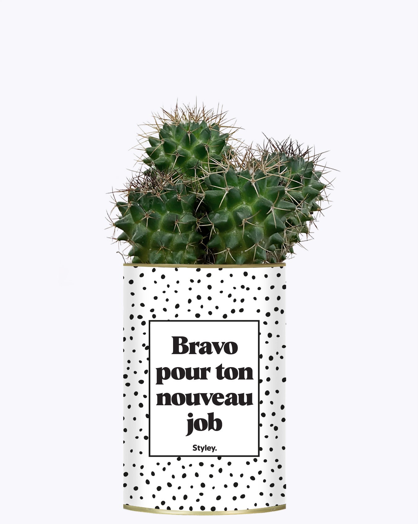 Bravo pour ton nouveau job - Cactus