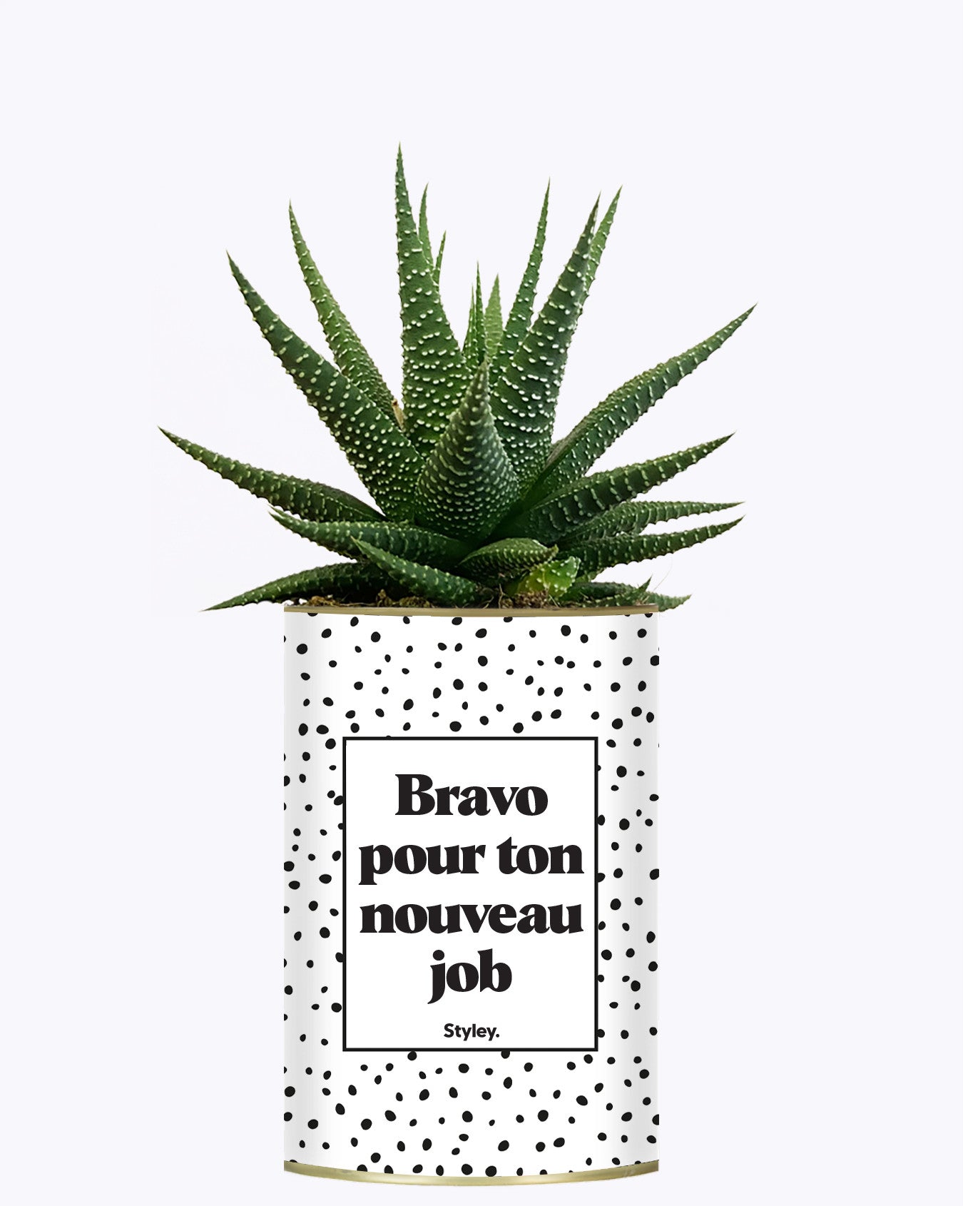 Bravo pour ton nouveau job - Cactus