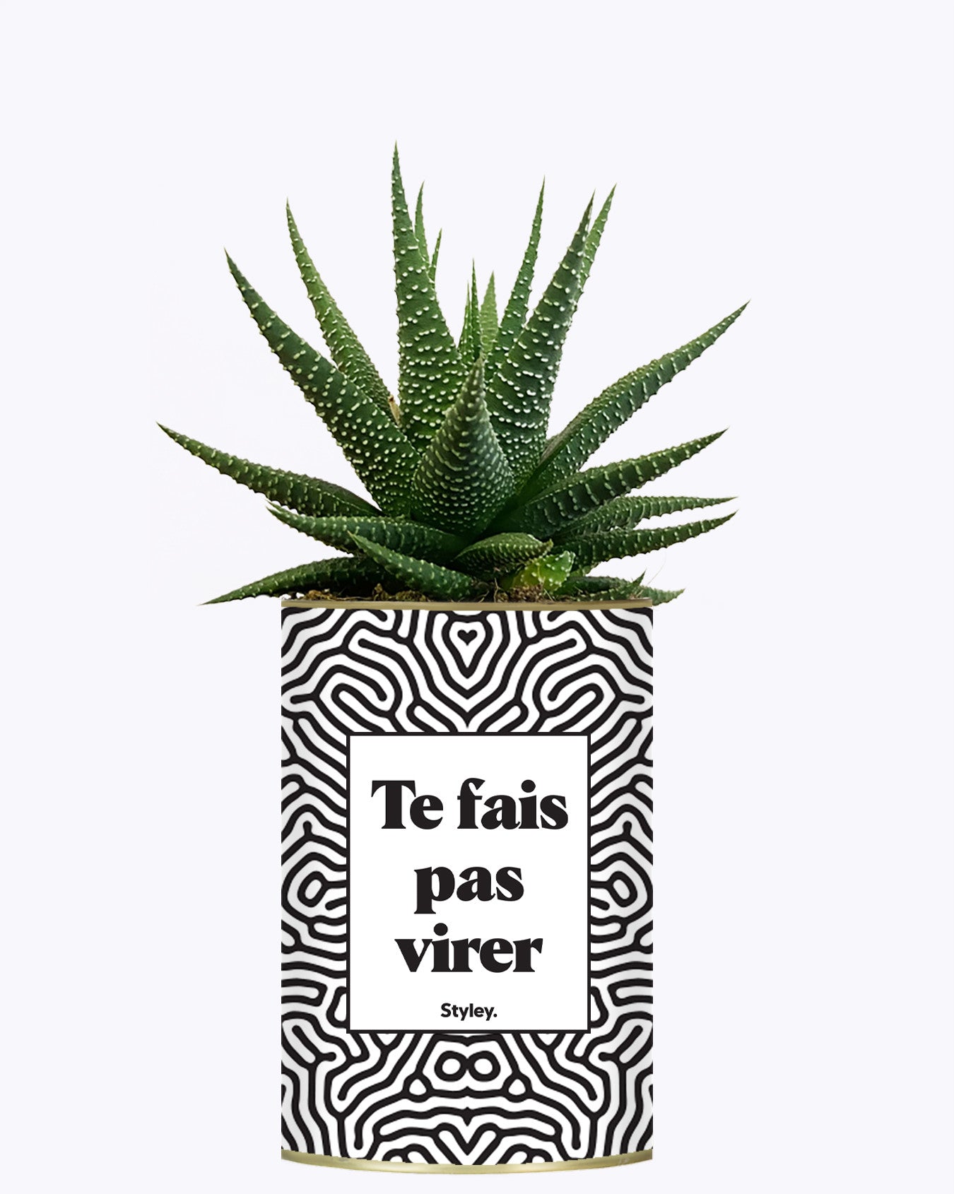 Te fais pas virer - Cactus