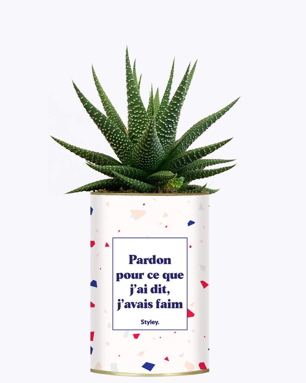 Pardon pour ce que j'ai dit, j'avais faim - Cactus