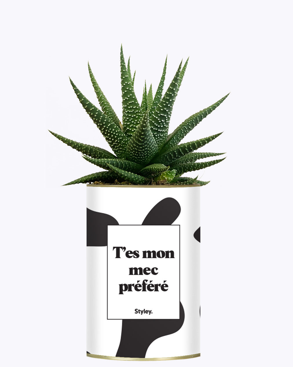 T'es mon mec préféré - Cactus