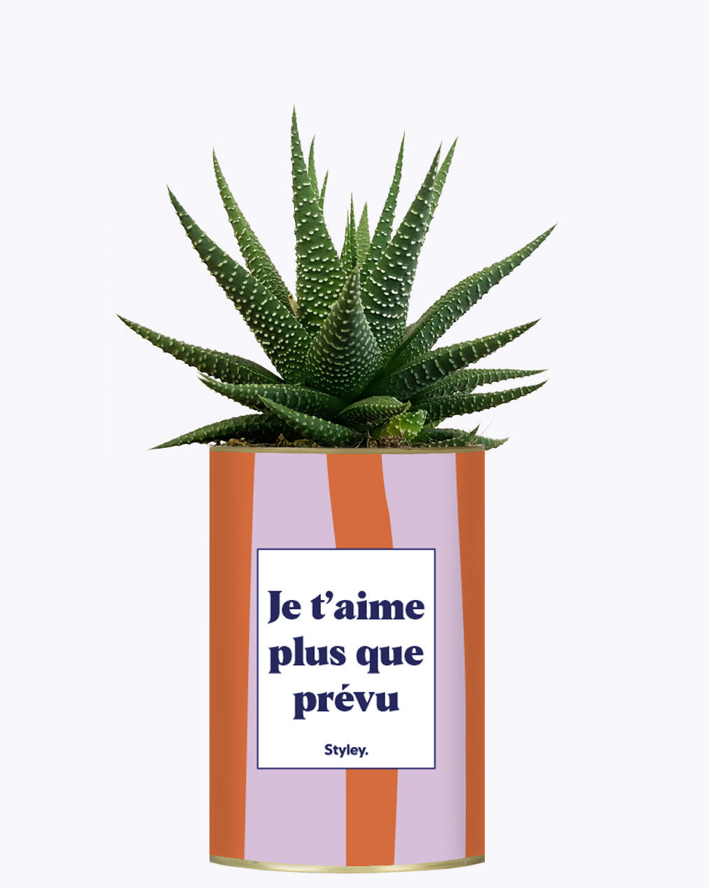 Je t'aime plus que prévu - Cactus