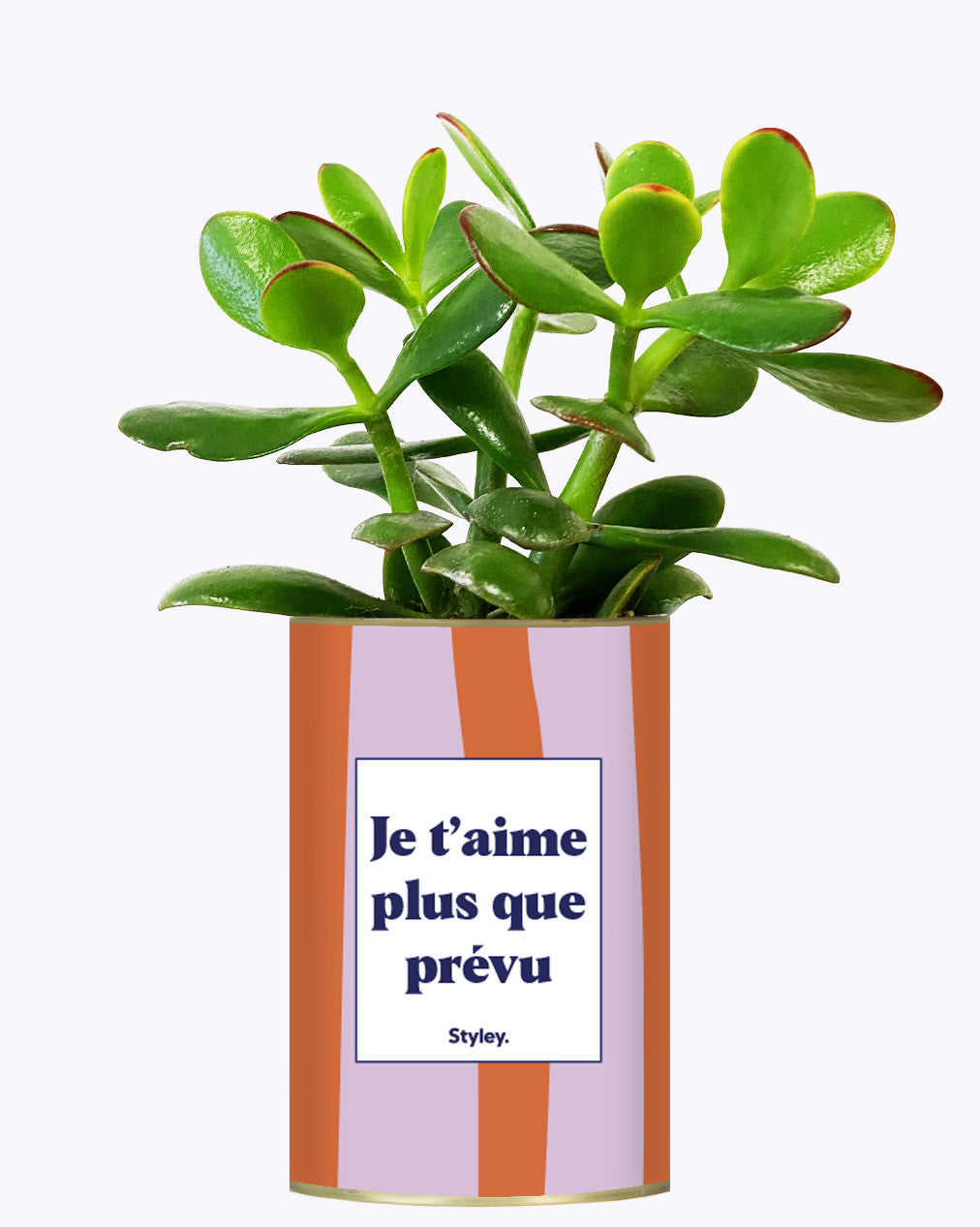 Je t'aime plus que prévu - Cactus