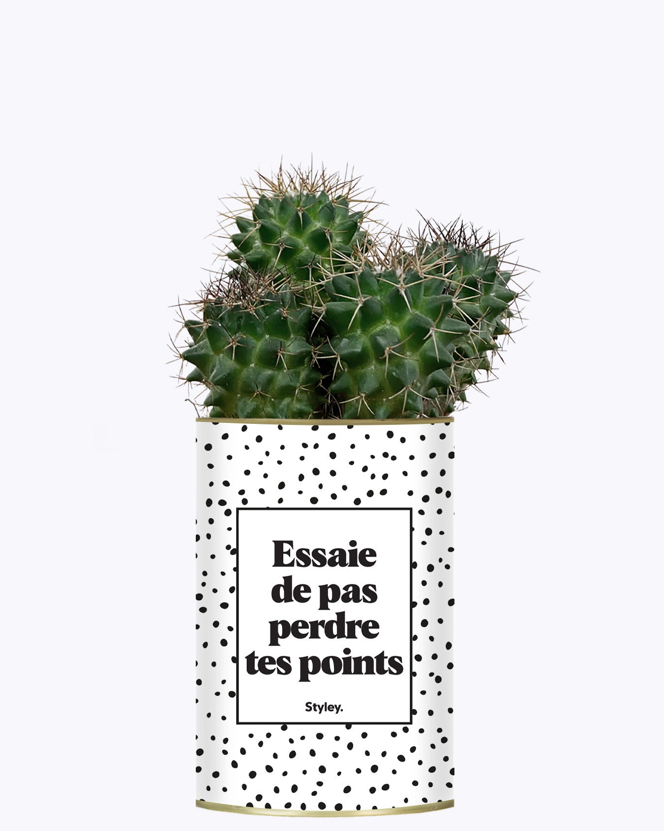 Essaie de ne pas perdre tes points - Cactus