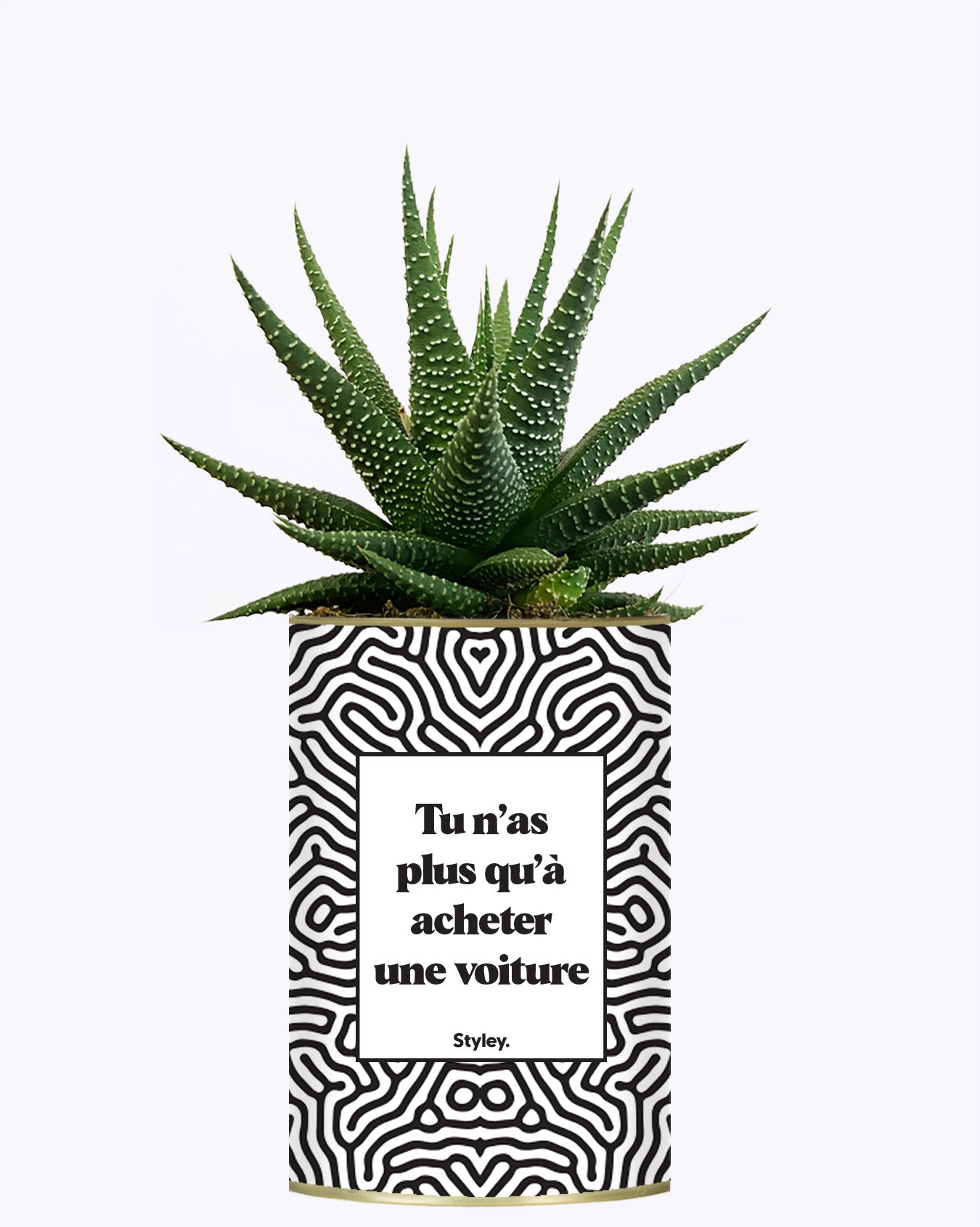 Tu n'as plus qu'à acheter une voiture - Cactus
