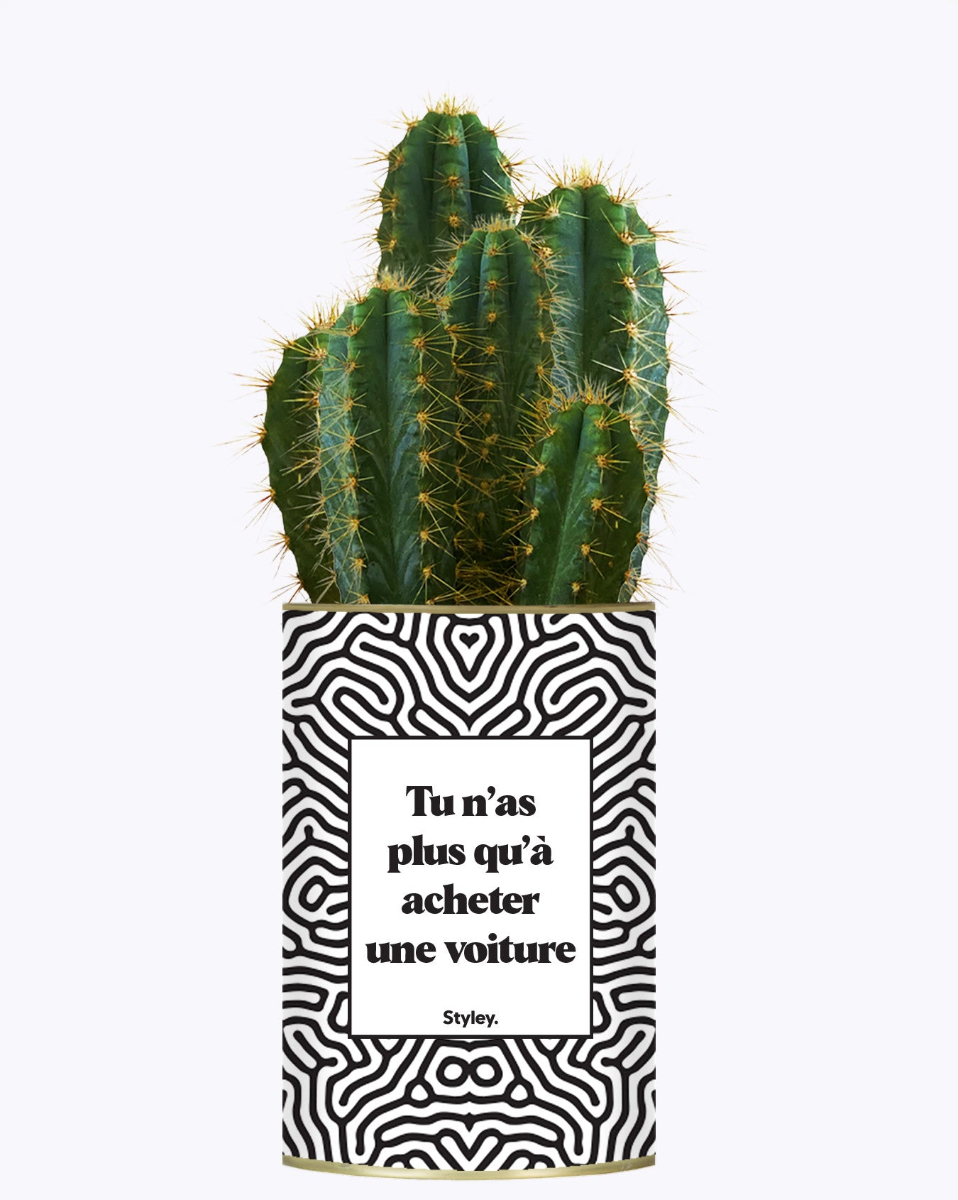 Tu n'as plus qu'à acheter une voiture - Cactus