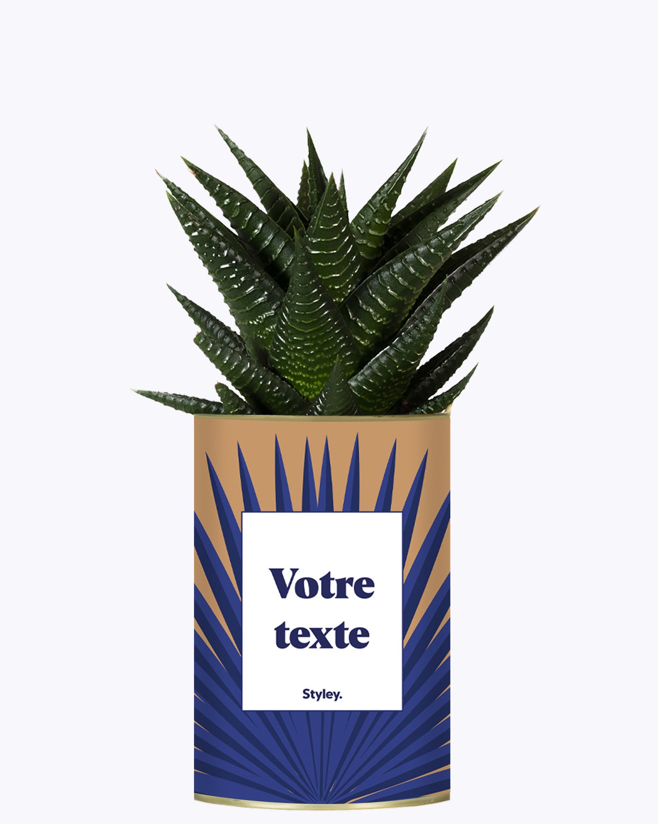 Grande Palme - Plante personnalisable