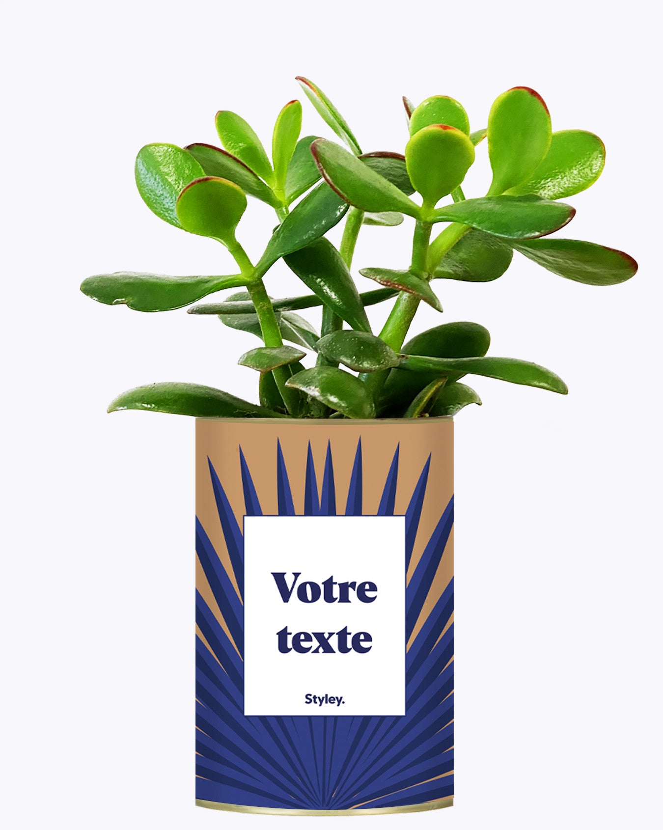 Grande Palme - Plante personnalisable