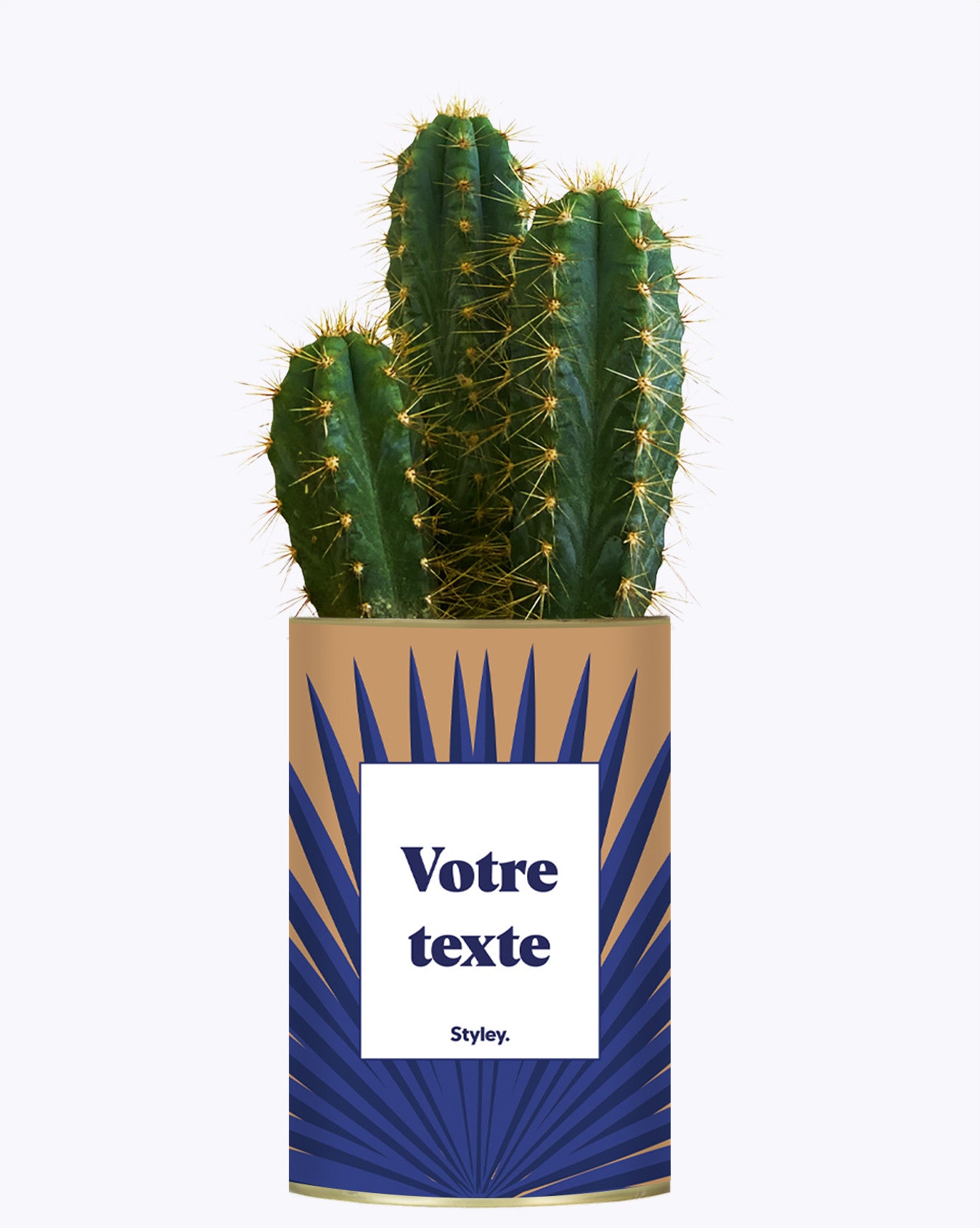 Grande Palme - Plante personnalisable