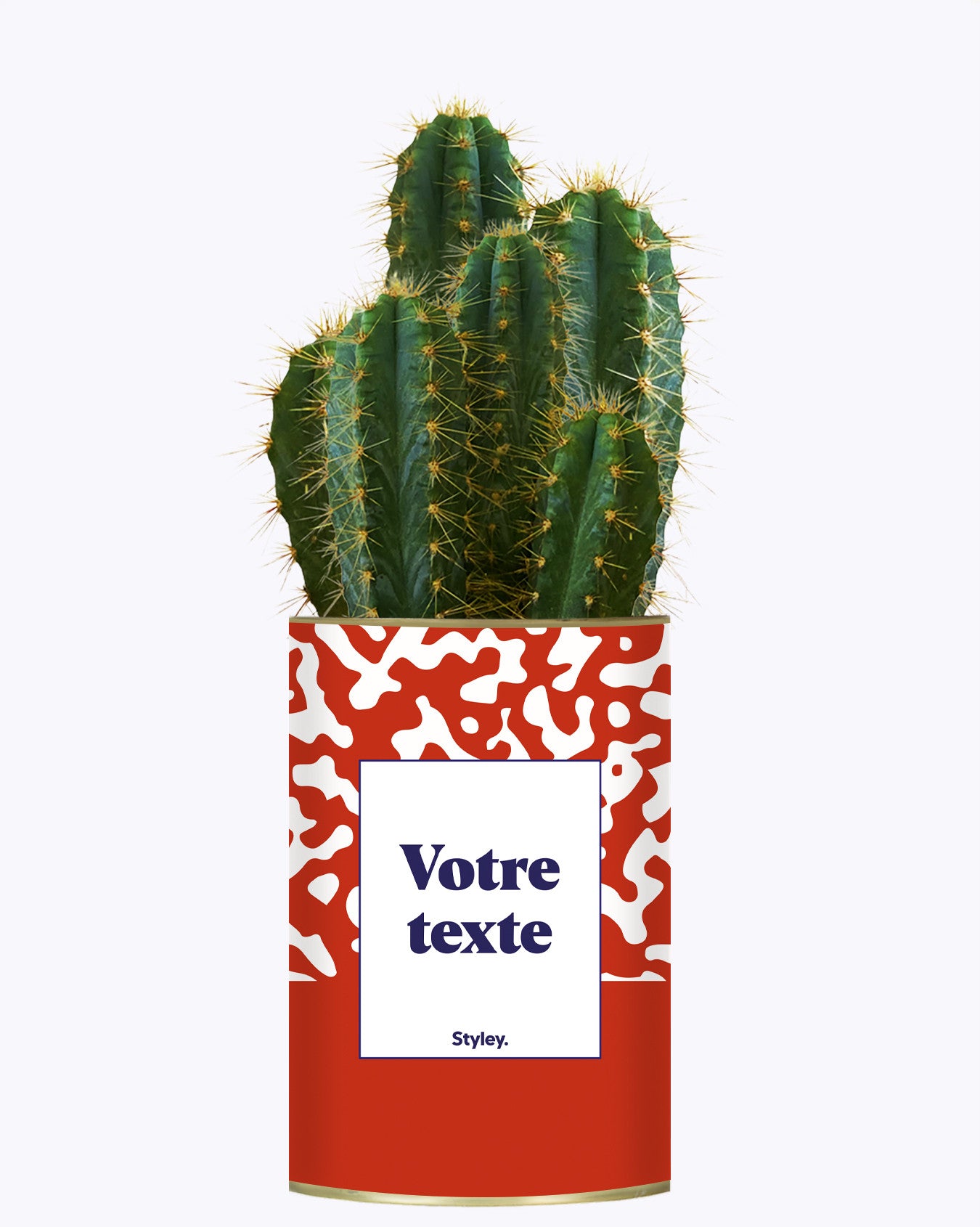 Pattern rouge - Plante personnalisable