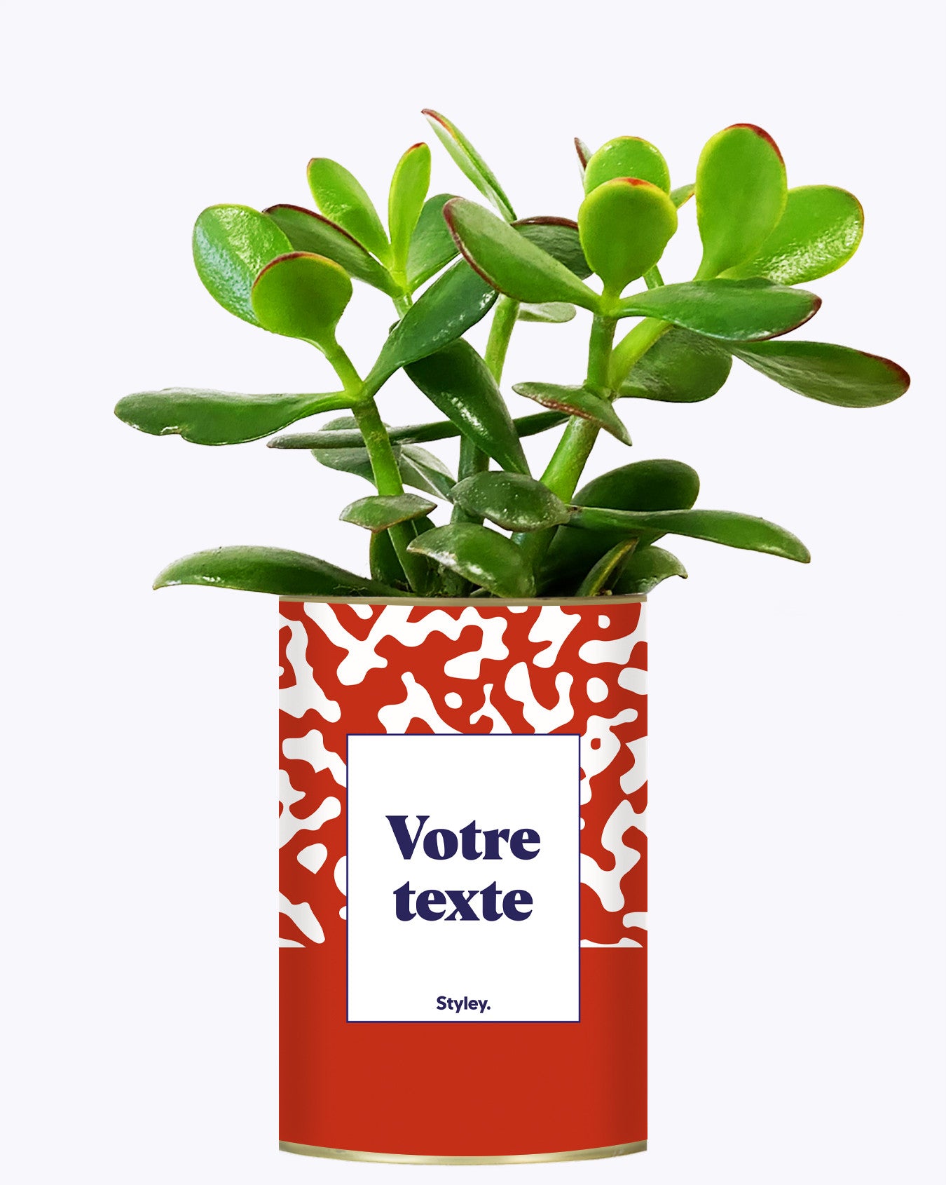 Pattern rouge - Plante personnalisable