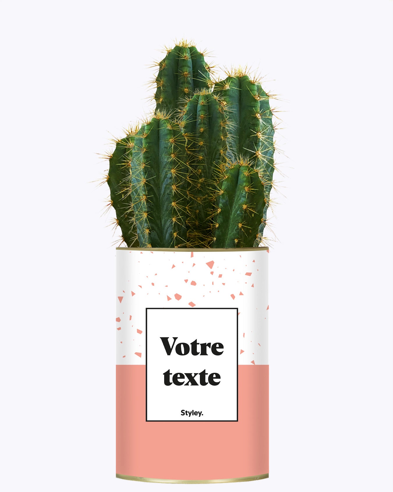 Terrazzo Rose - Plante personnalisable