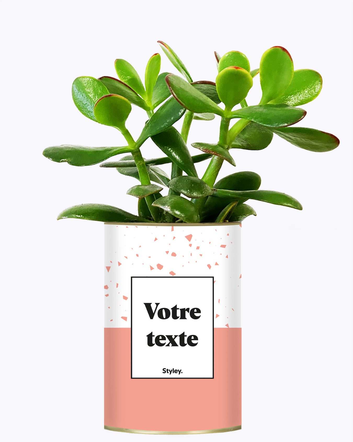 Terrazzo Rose - Plante personnalisable