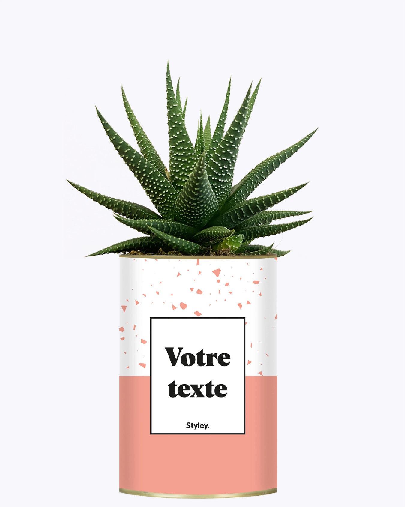 Terrazzo Rose - Plante personnalisable