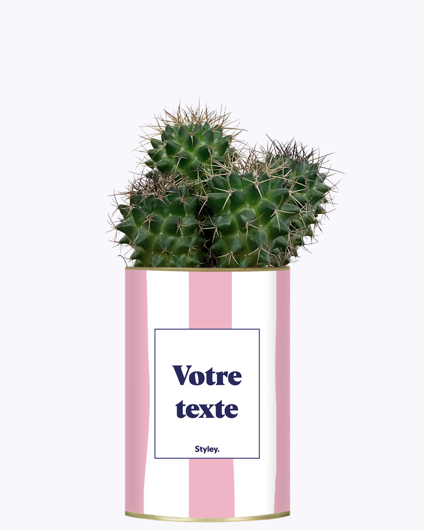 Rayures roses - Plante personnalisable
