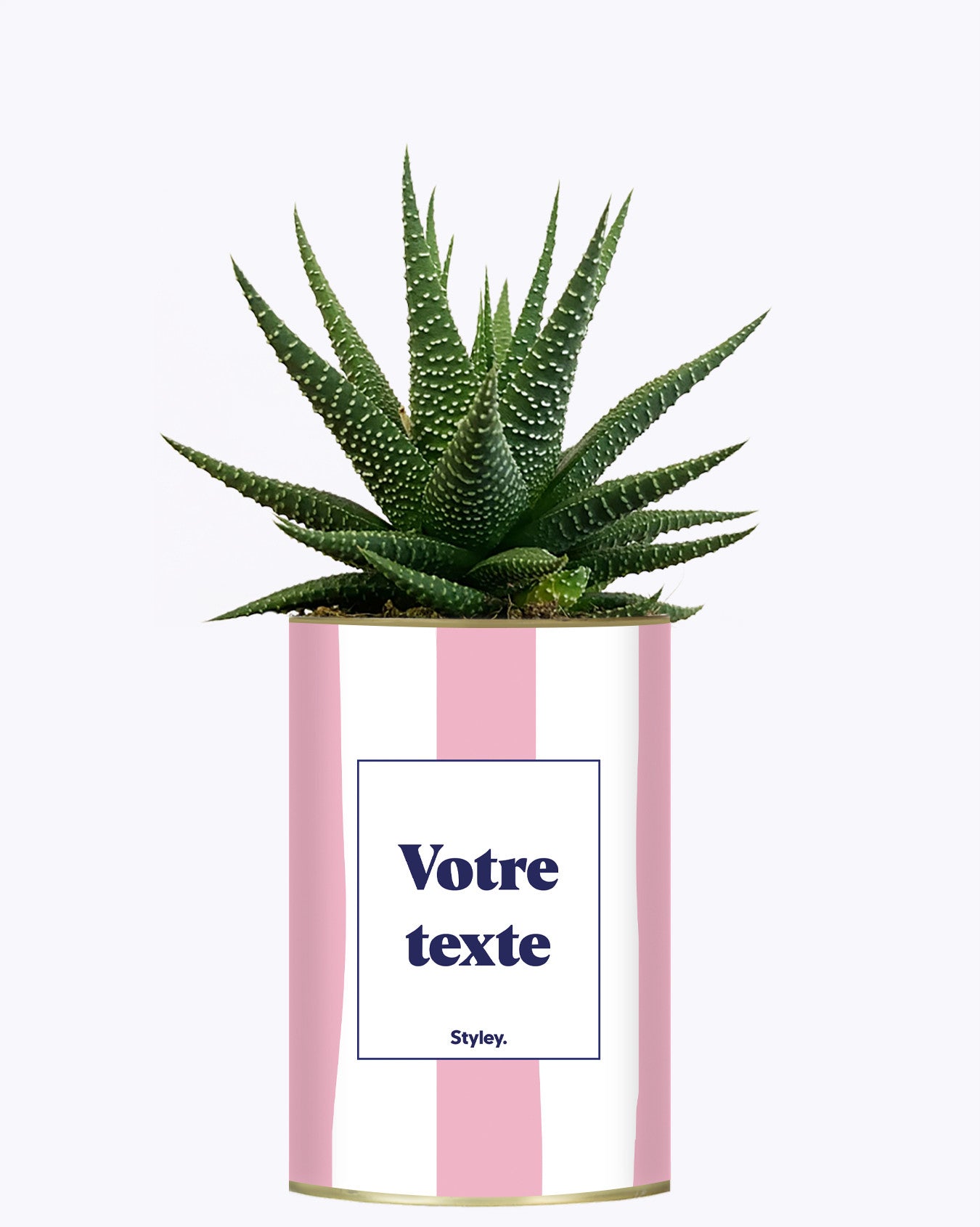 Rayures roses - Plante personnalisable