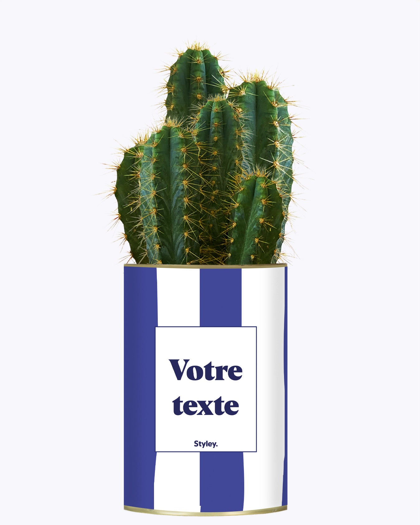 Rayures bleues - Plante personnalisable