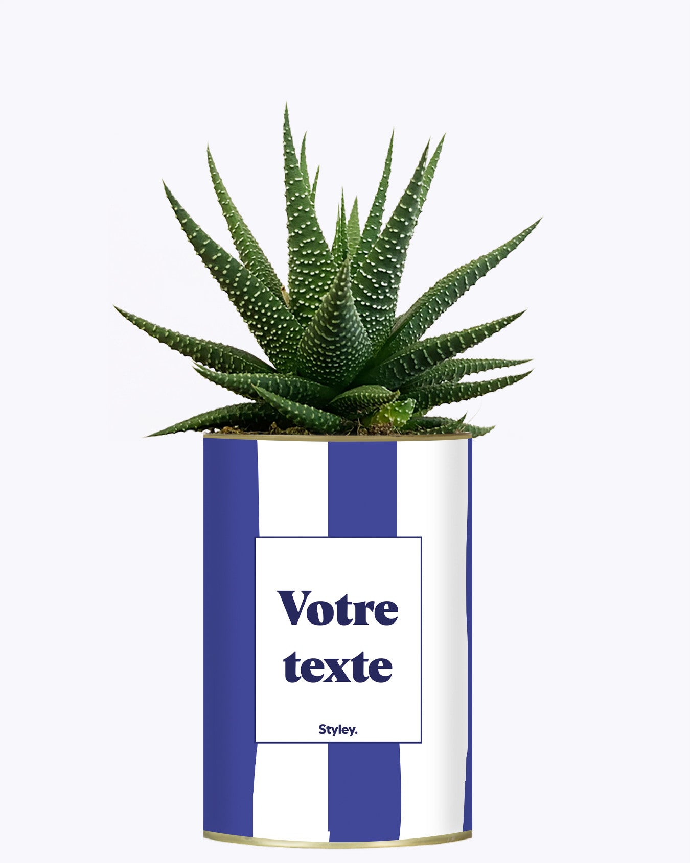 Rayures bleues - Plante personnalisable