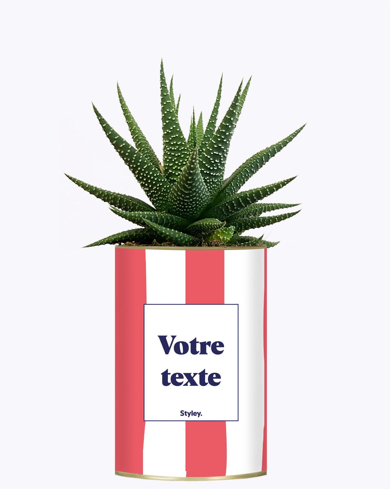 Rayures corail - Plante personnalisable