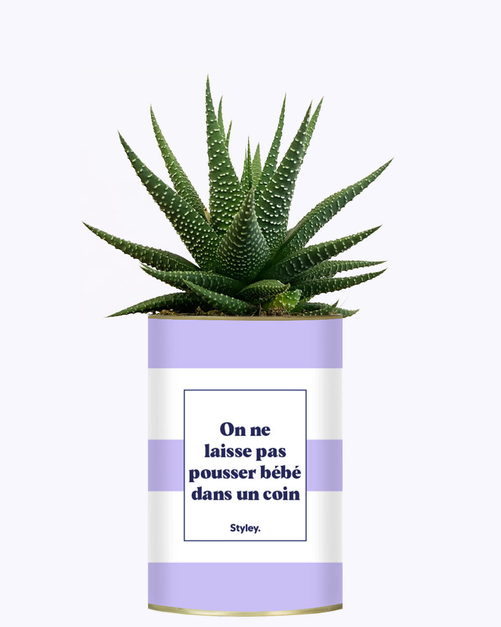 On ne laisse pas pousser bébé dans un coin - Cactus