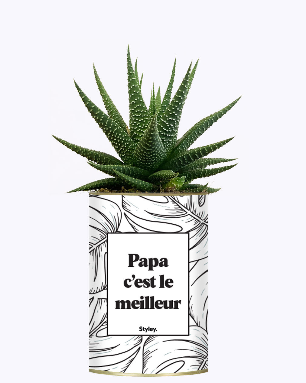 Papa c'est le meilleur - Cactus