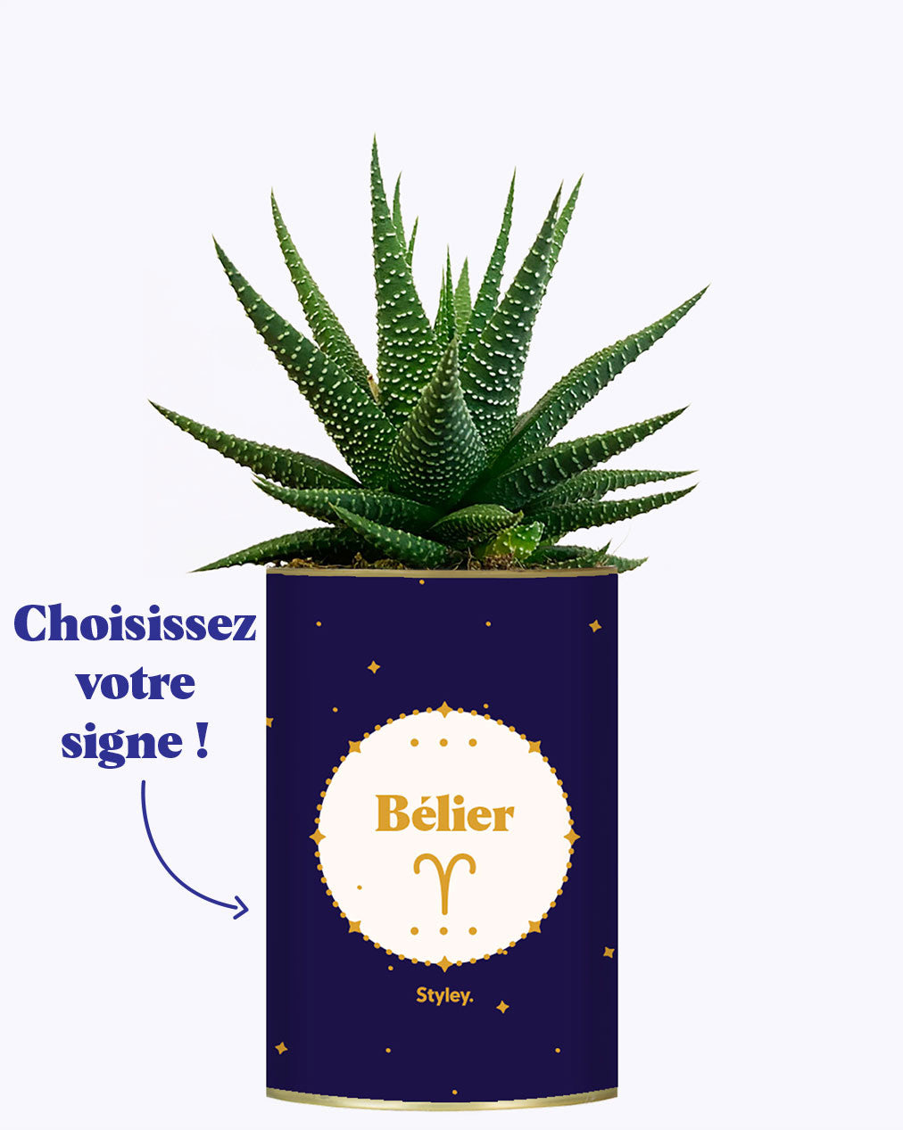 Astrologie - Plante zodiac
