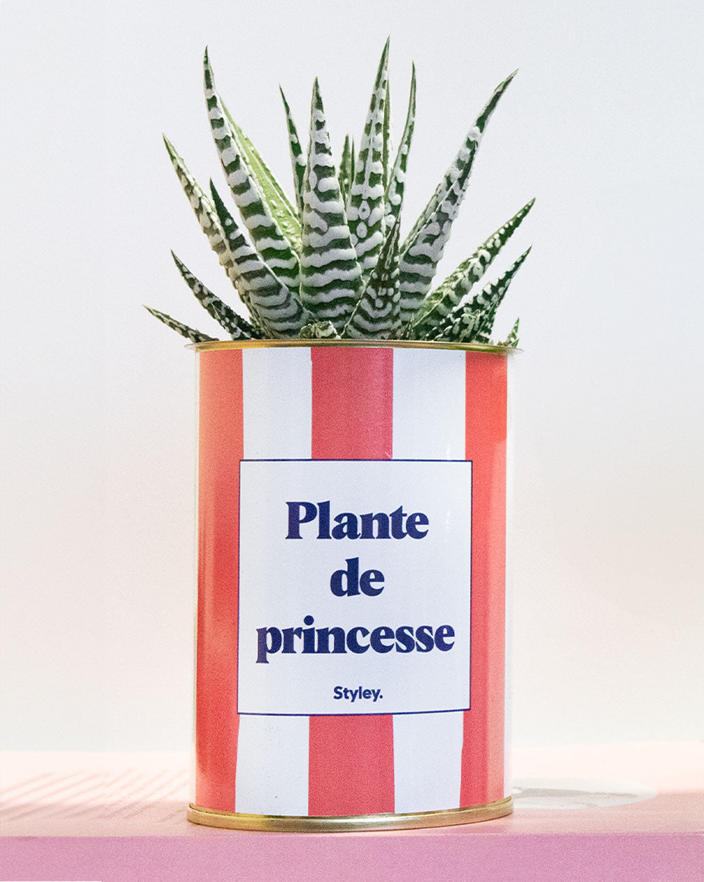Plante de princesse - Plante