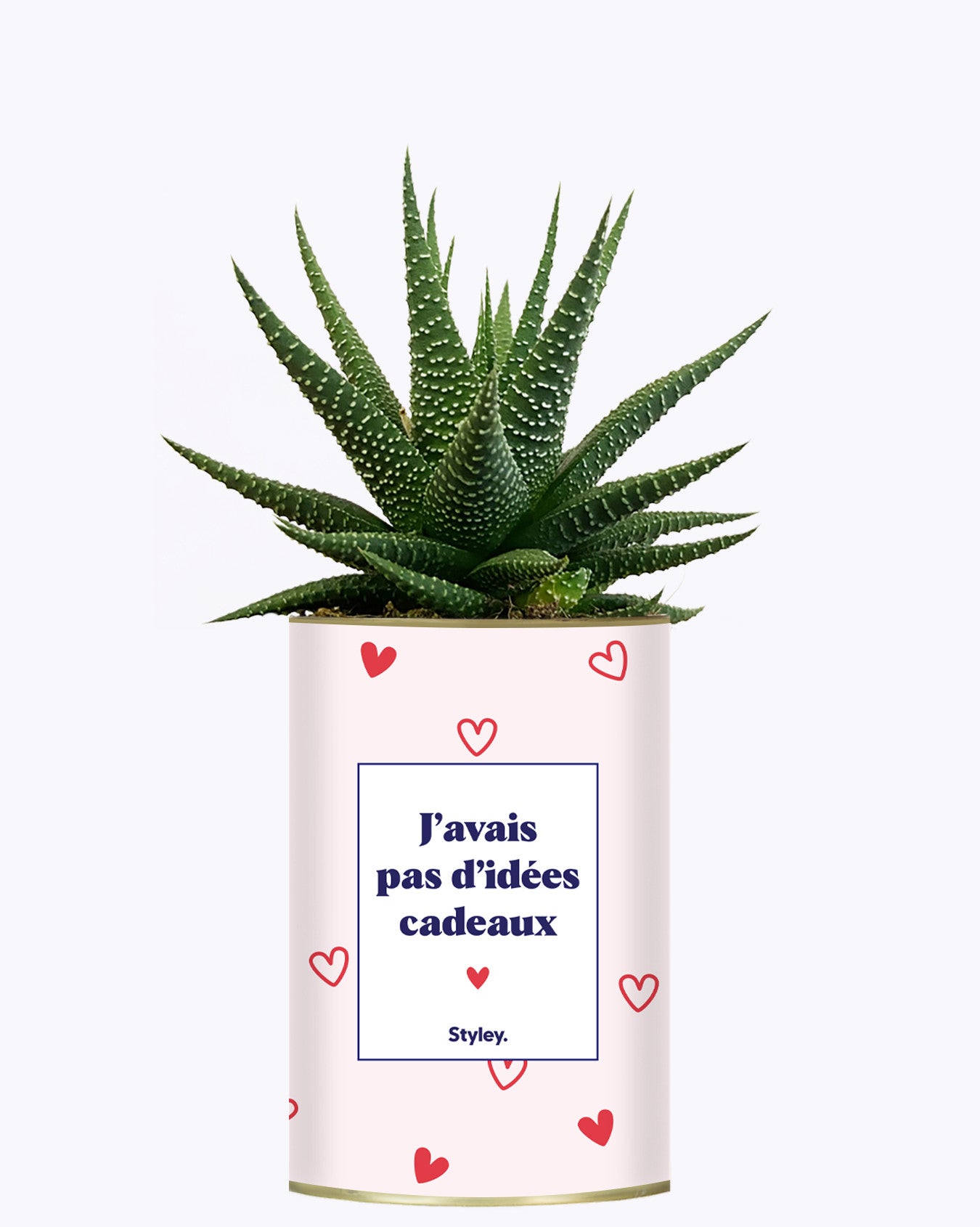 Cadeau de Saint Valentin - Cactus