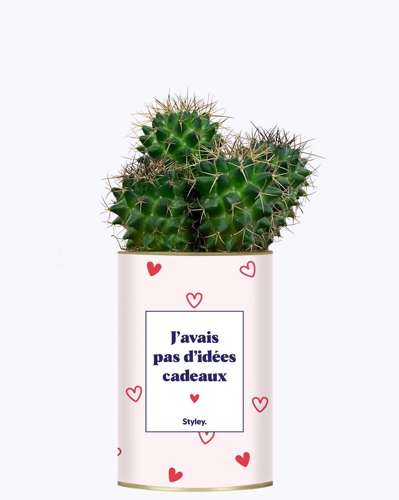 Cadeau de Saint Valentin - Cactus