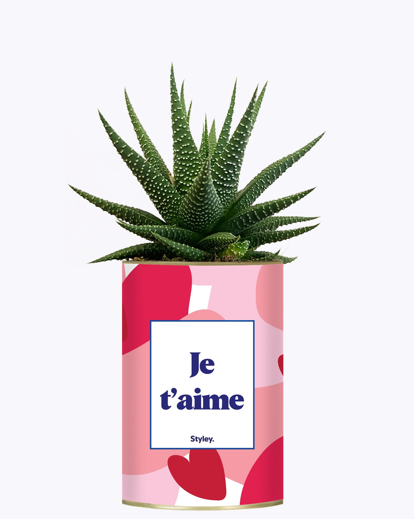 Aime - Saint Valentin - Cactus