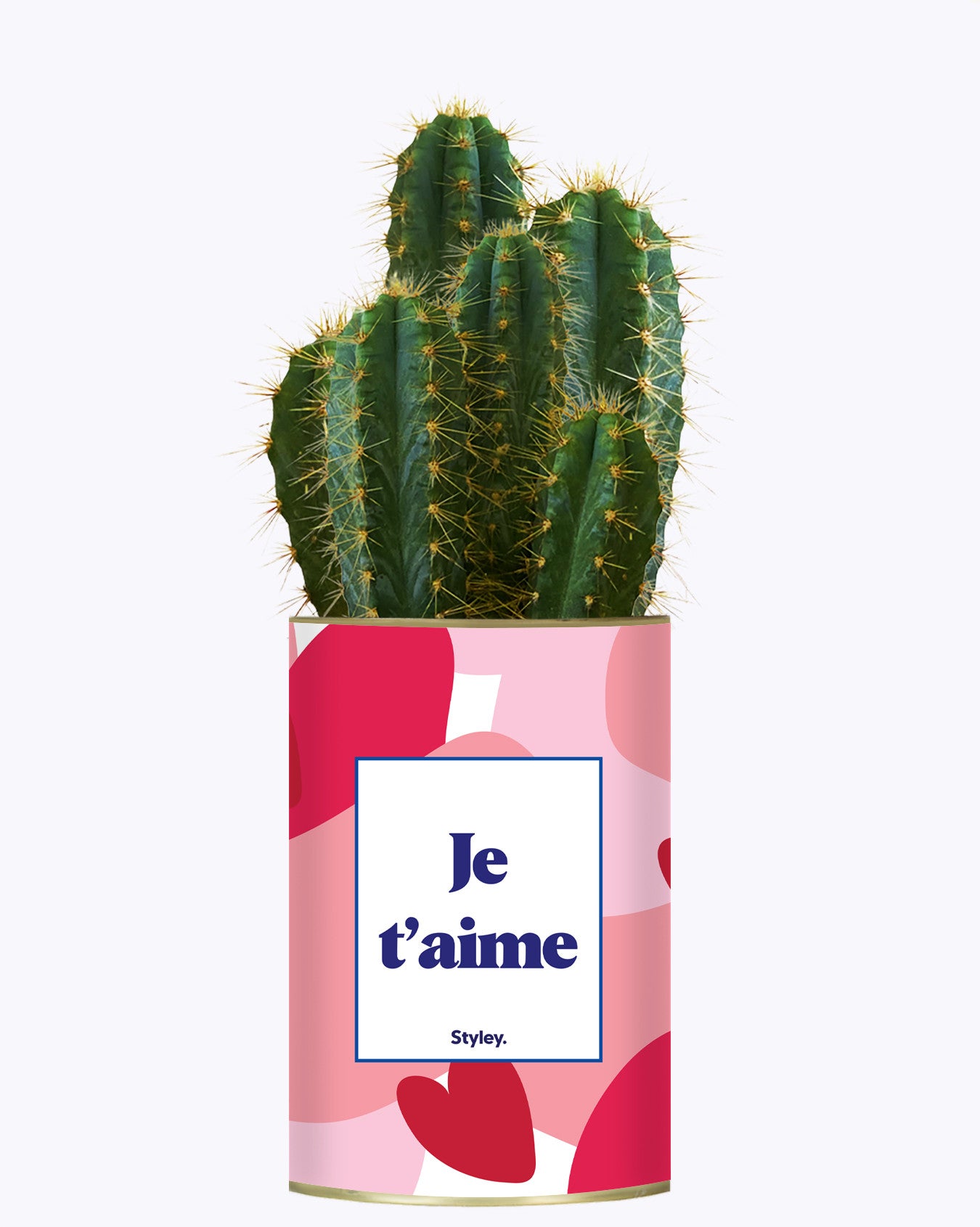 Aime - Saint Valentin - Cactus
