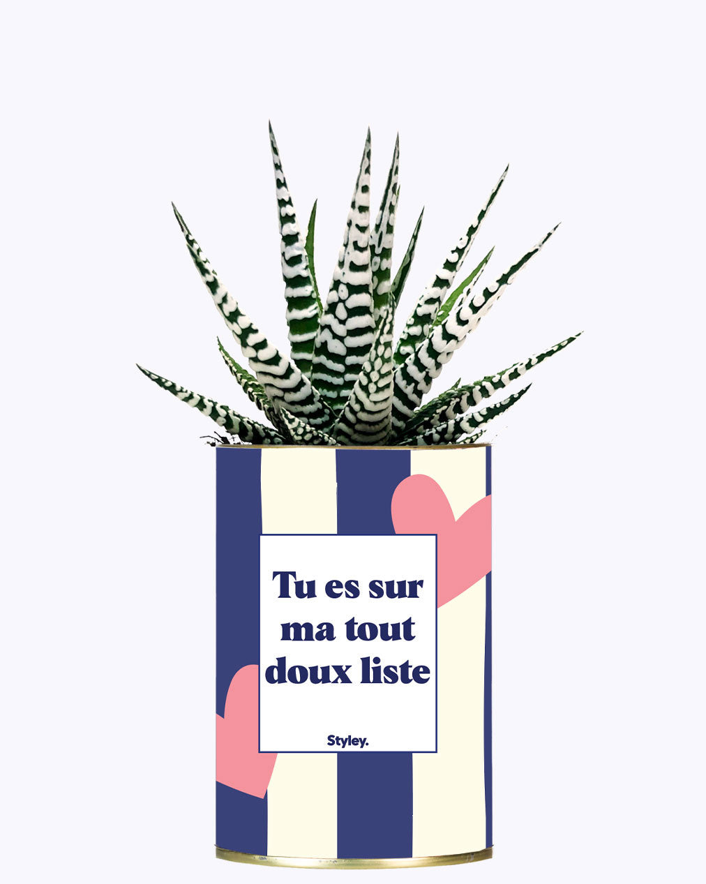 Tout doux list - Cactus