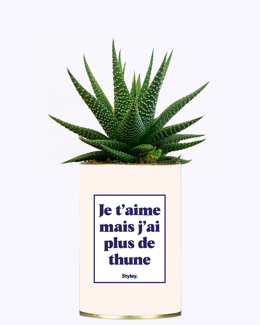 Je t'aime mais j'ai plus de thune - Cactus