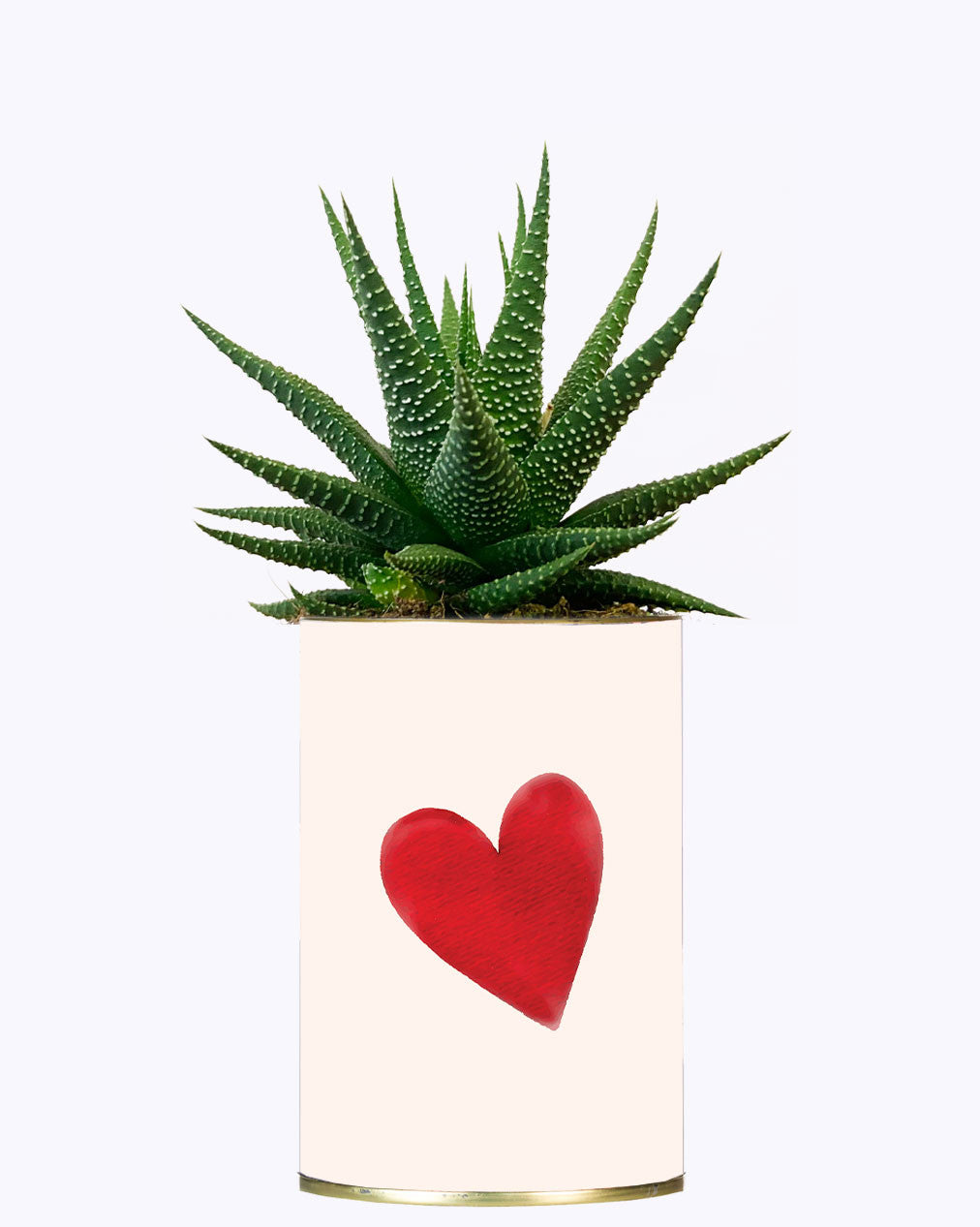 Je t'aime mais j'ai plus de thune - Cactus