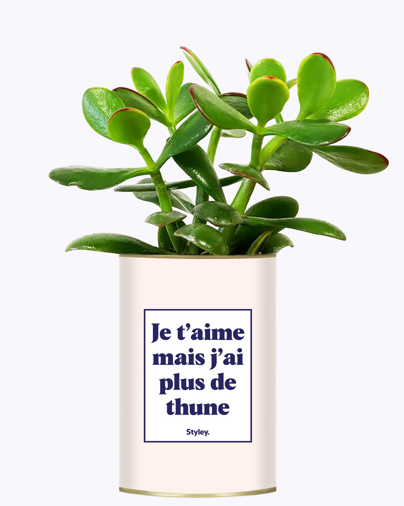 Je t'aime mais j'ai plus de thune - Cactus