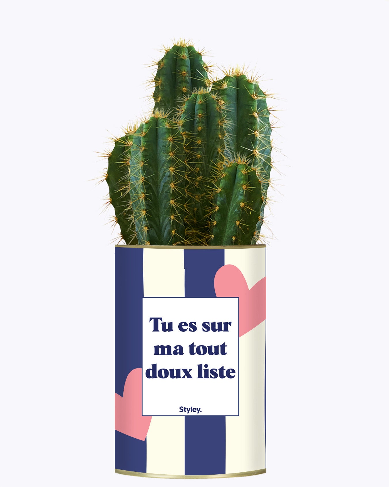 Tout doux list - Cactus