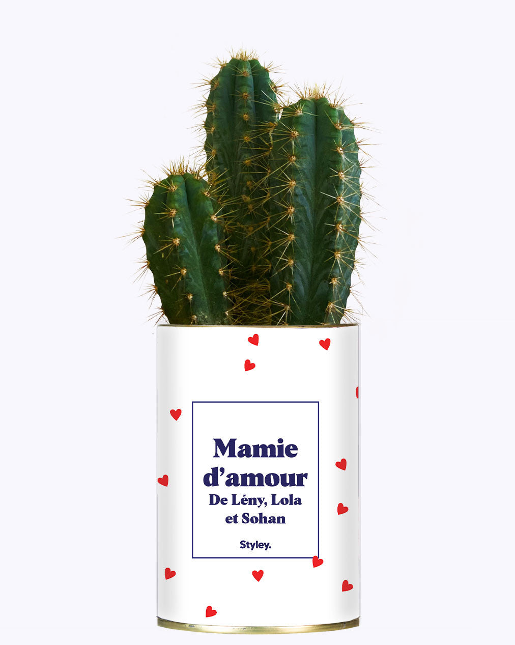 Mamie d'amour personnalisable - Cactus