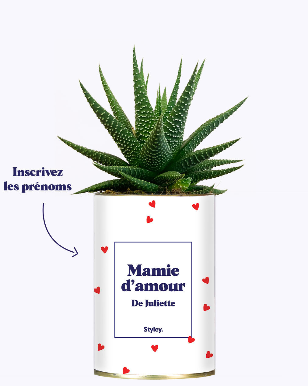 Mamie d'amour personnalisable - Cactus