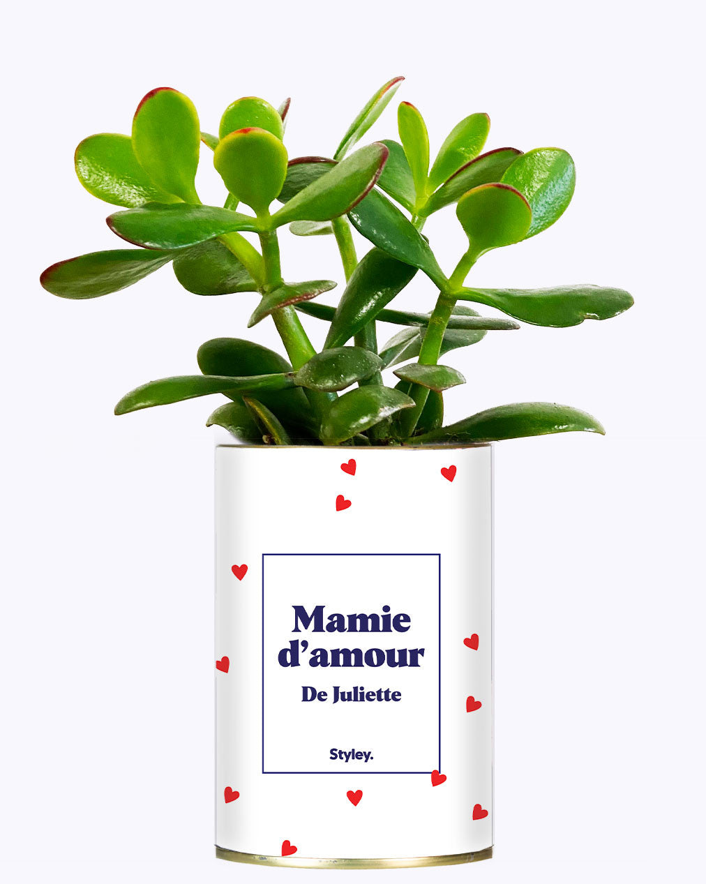 Mamie d'amour personnalisable - Cactus