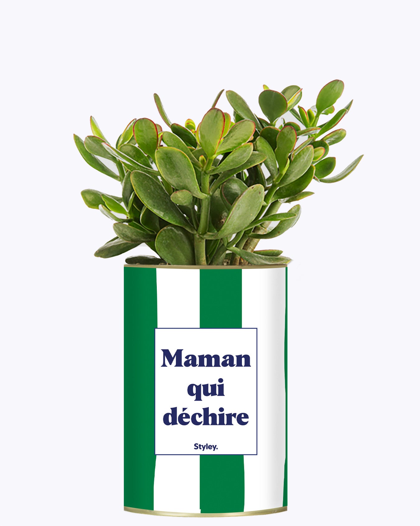 Maman qui déchire - Cactus