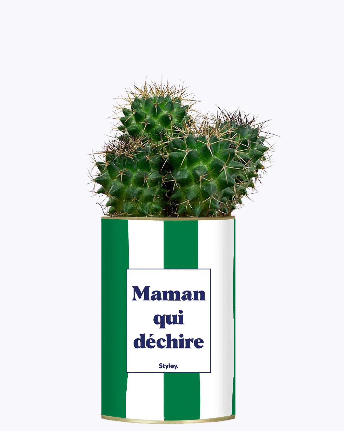 Maman qui déchire - Cactus