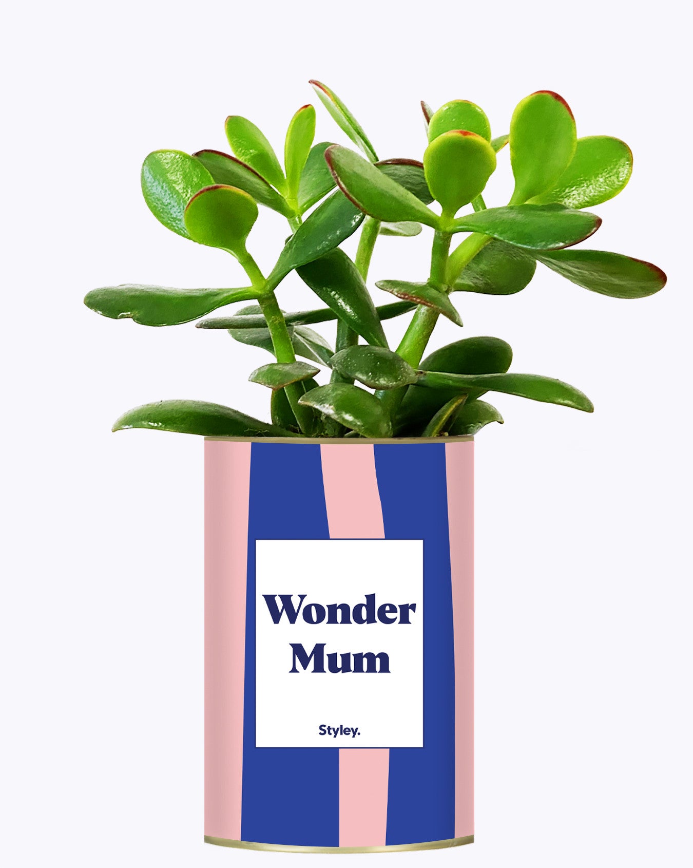 Wonder mum - Cactus