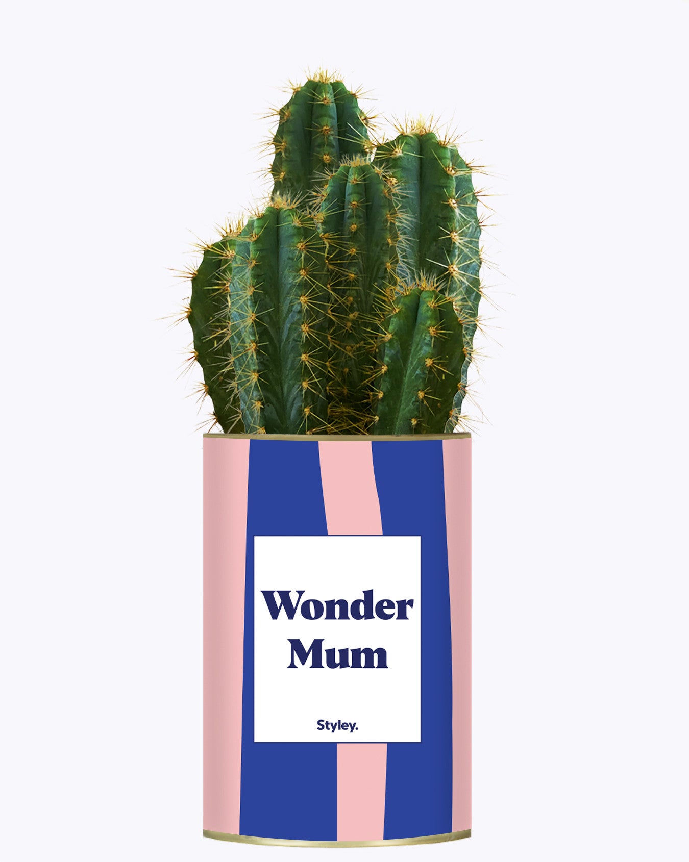 Wonder mum - Cactus