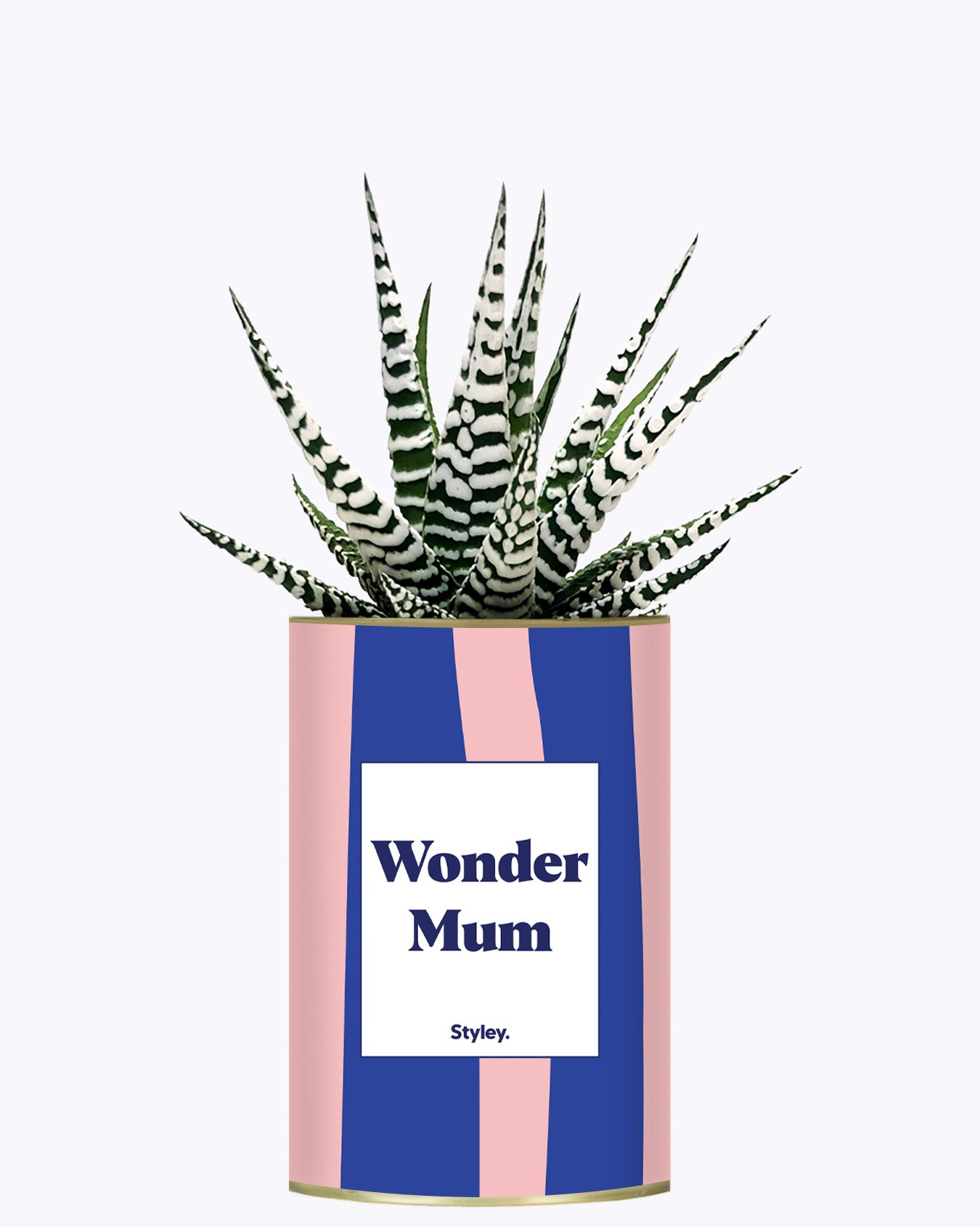 Wonder mum - Cactus