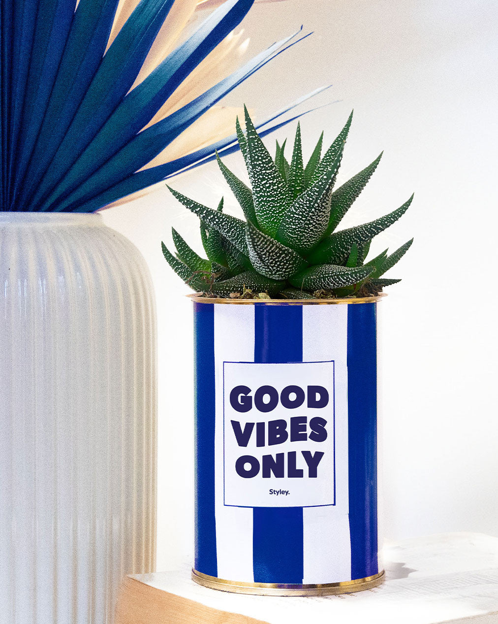 Good Vibes Only - pot à rayures - Plante grasse